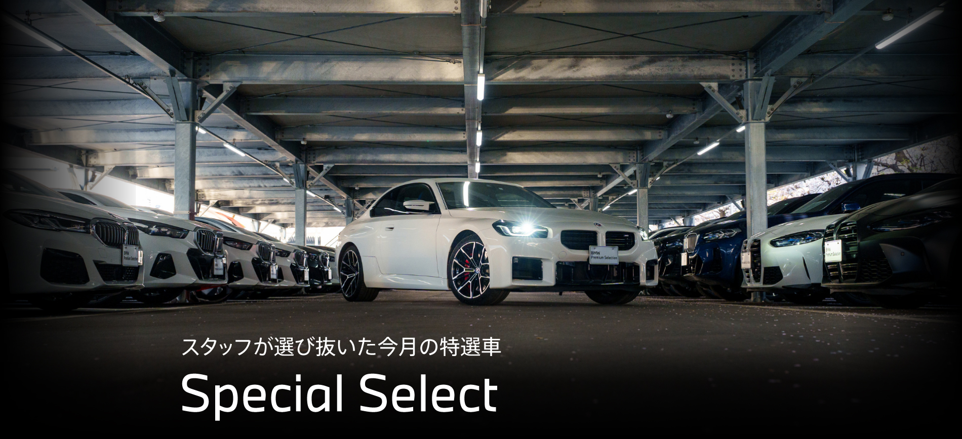 Nicole BMW 特選車