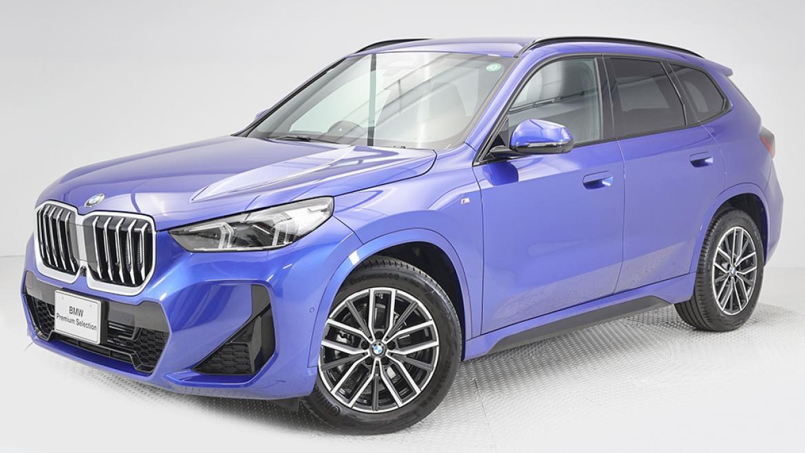 X1 sDrive 18i M Sport