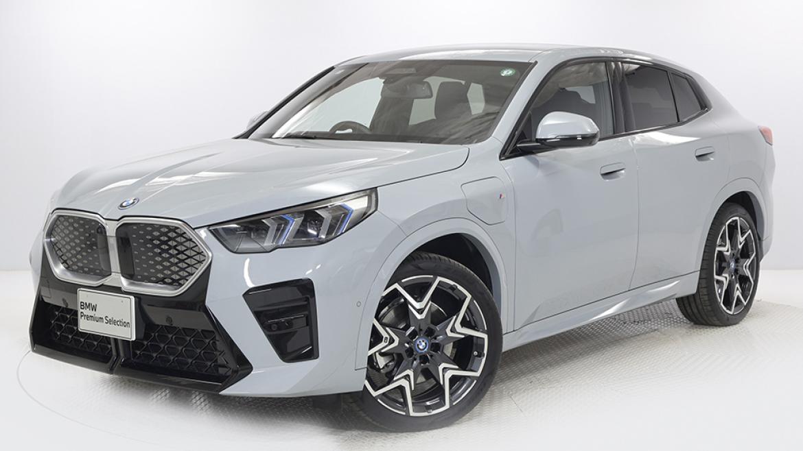iX2 xDrive30 M Sport