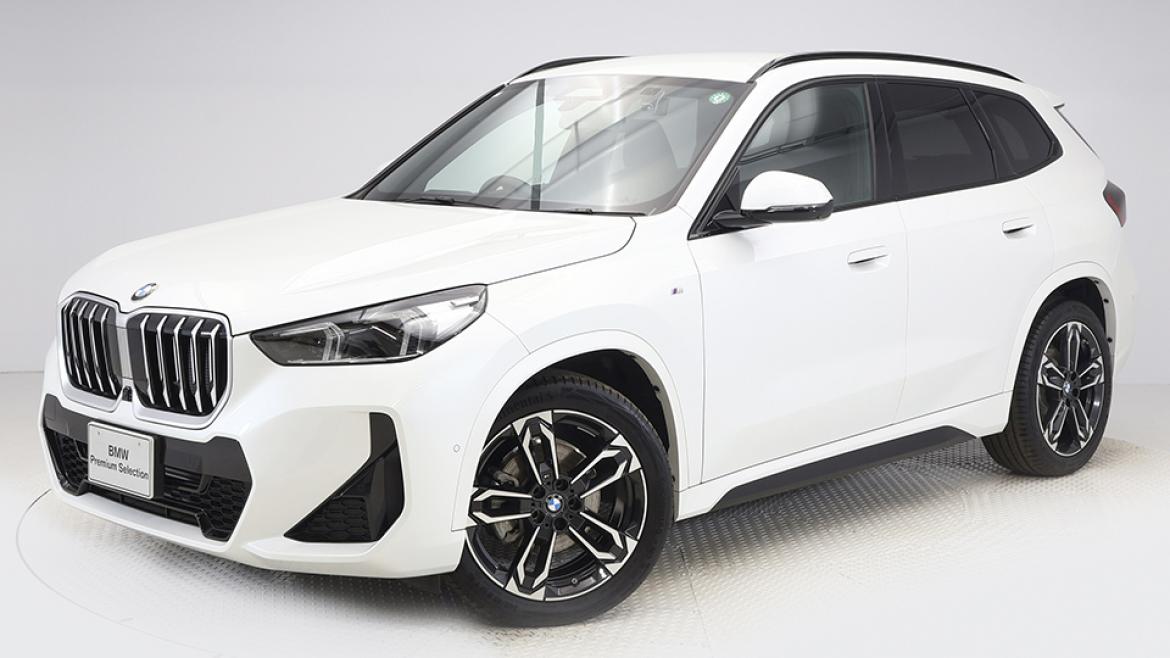 X1 xDrive 20d