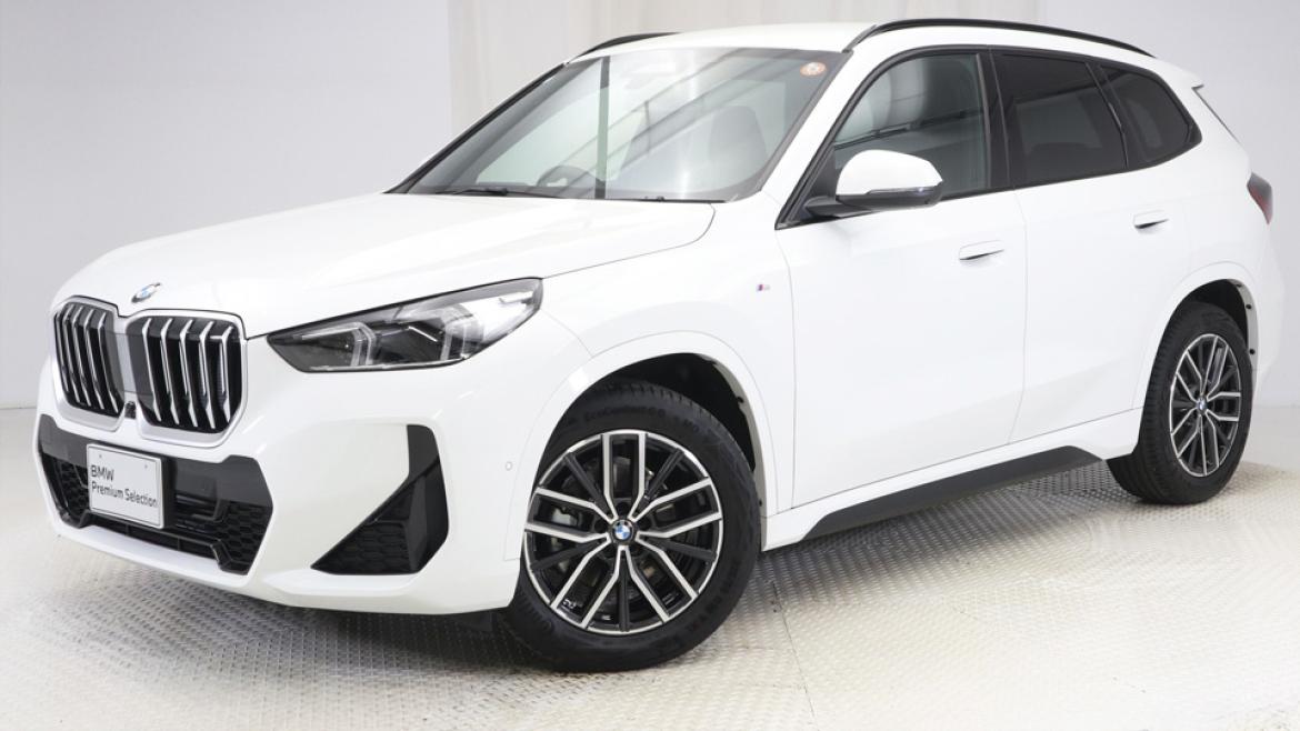 X1 sDrive 18i M Sport