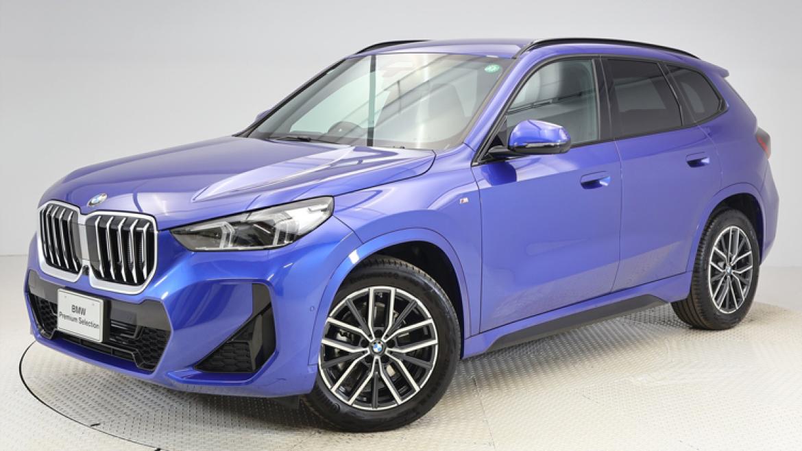 X1 sDrive18i M Sport